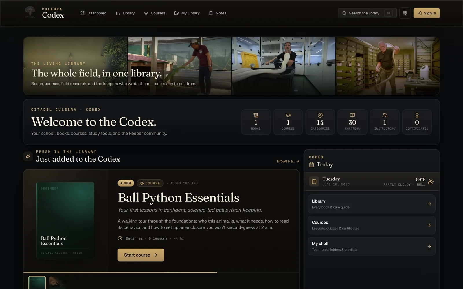 The Codex reader